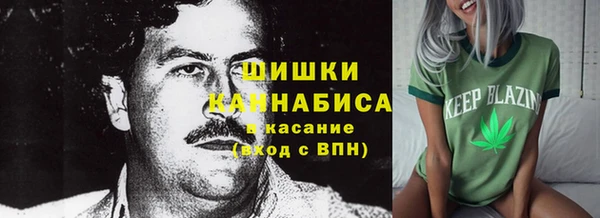 меф Гусев