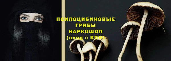 меф Гусев