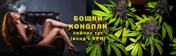 ешки Дмитриев